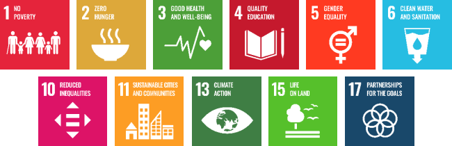 11 Sustainable Development Goals